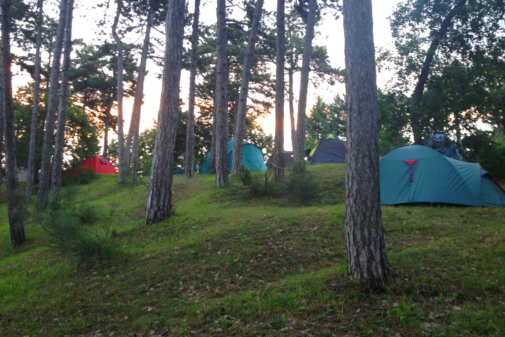 Camping Pineta Urbino - Camping